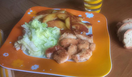 pollo