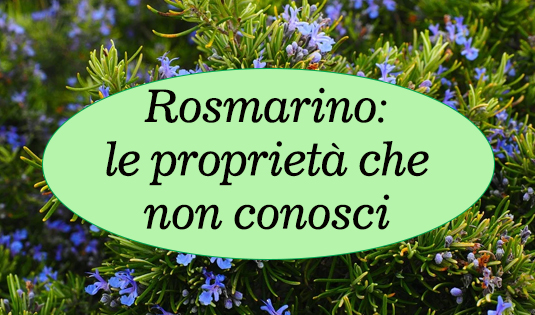 Senza titolo-1 copia