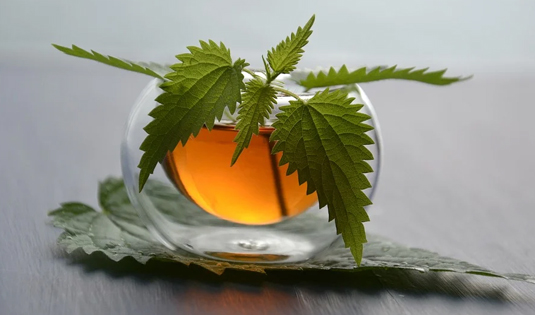 Senza titolo-1 copia