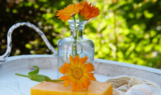 Senza titolo-1 copia