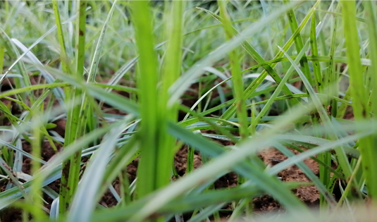 Senza titolo-1 copia